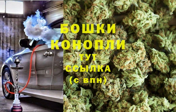 PSILOCYBIN Киренск